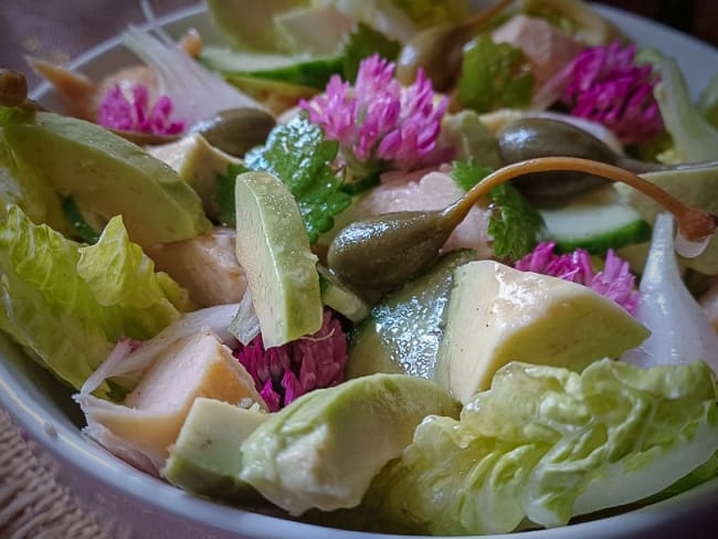 Salade de printemps aux sucrines et fleurs de trèfle