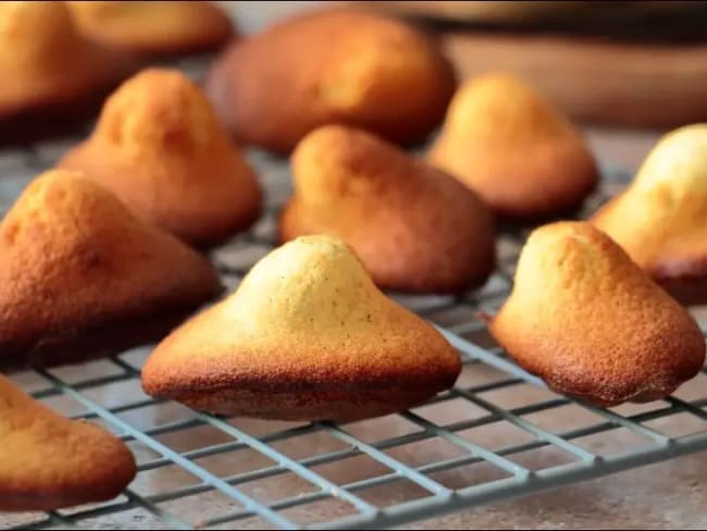 Madeleines à la vanille, poudre d'amandes et miel