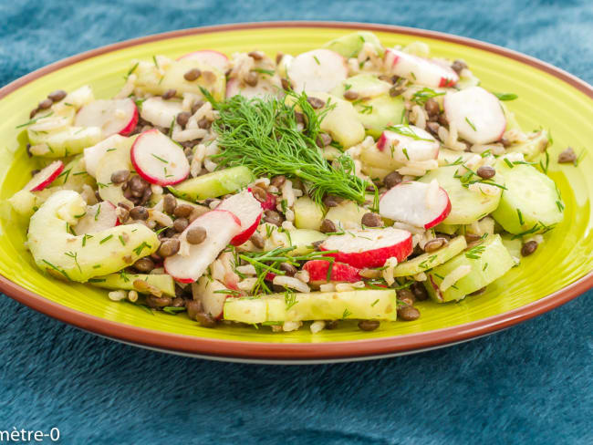 Salade de riz et lentilles au concombre et radis