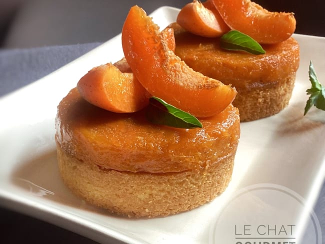 Tartelettes aux abricots sur palets bretons