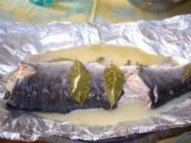 Saumon en Papillote à la Plancha