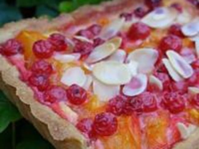 Tartes Gourmandes aux Abricots et aux Groseilles