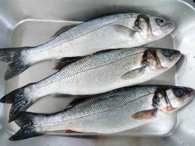 Habiller et écailler un poisson rond (Bar ou Loup, Merlan, truite, rouget, etc) - Technique culinaire