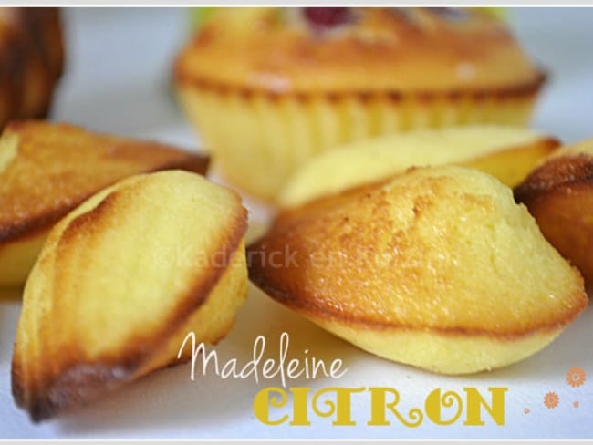 Madeleine au citron bio