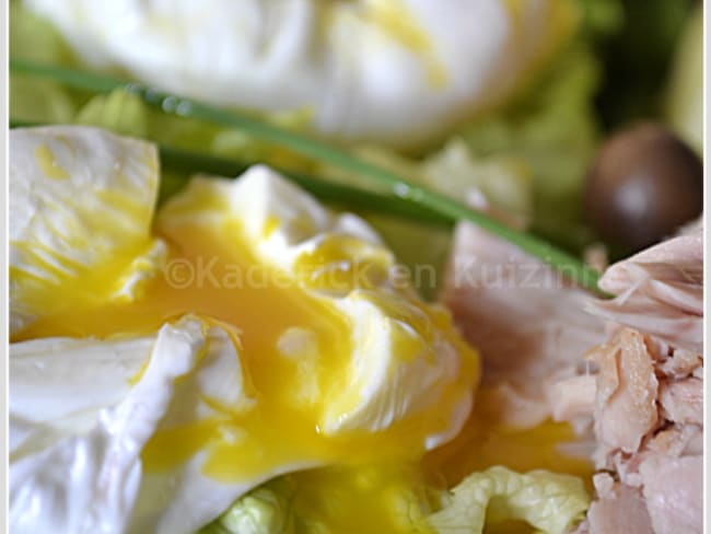 Oeufs pochés en salade et petits légumes