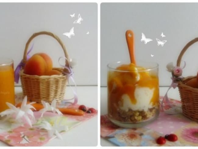 Frozen Yogurt à l’Abricot et son Coulis d’Abricots Vanillé