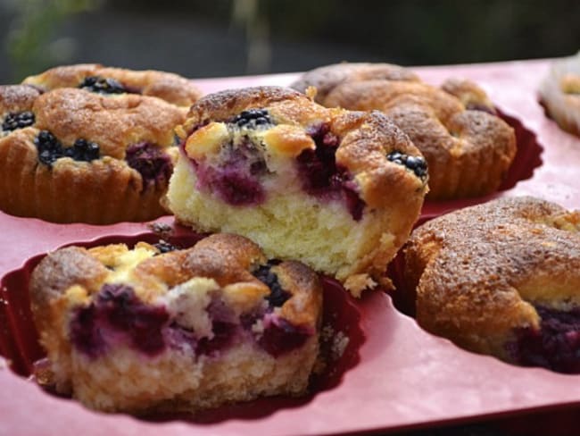 Madeleine aux mûres sauvages et framboises