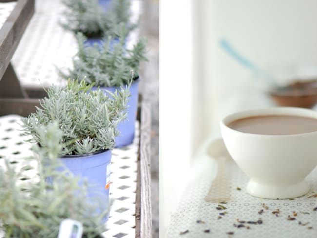 Chocolat chaud à la lavande