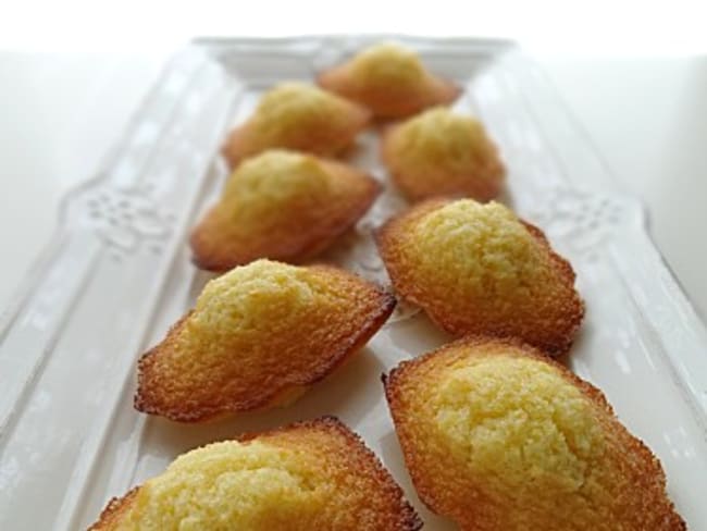 Madeleines