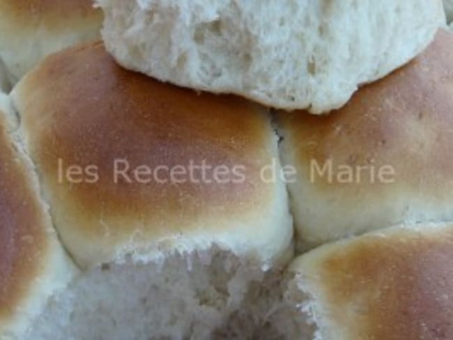 Pains Américain rolls