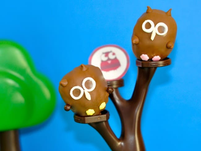 Deux chouettes cake pops : Mr et Mme CHOUETTE sur leur arbre