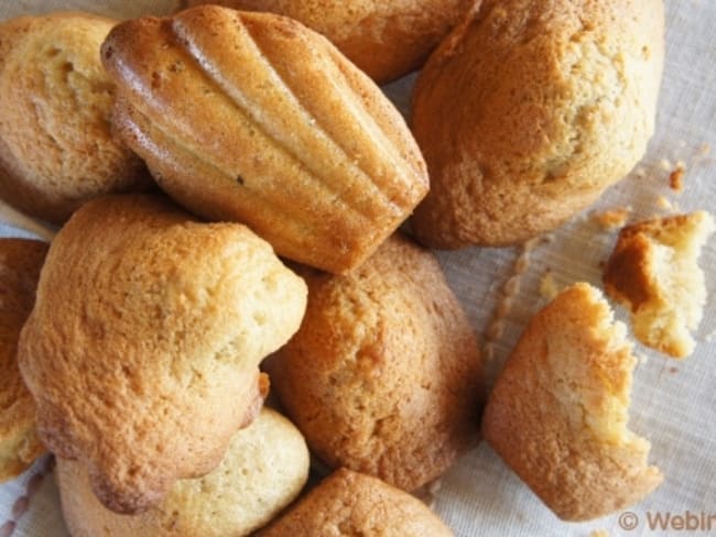 Madeleines à la cassonade