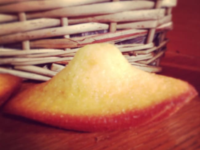 Madeleines