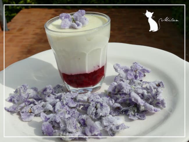 Panna cotta violette et framboise