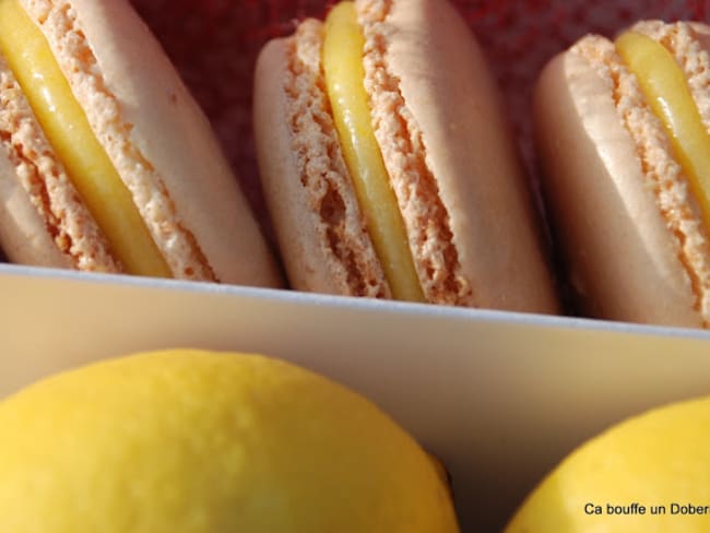 Macarons au Citron