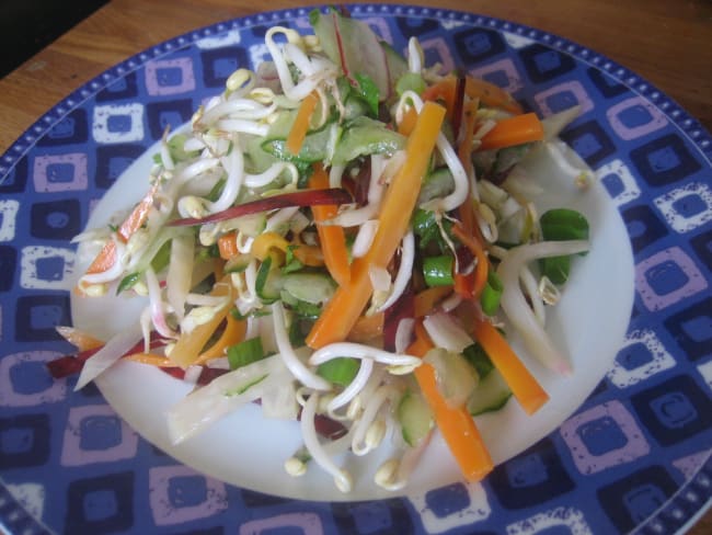 Salade de légumes primeurs et graines germées de soja