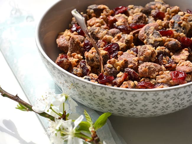 Mélange croquant aux fruits secs, kasha et avoine