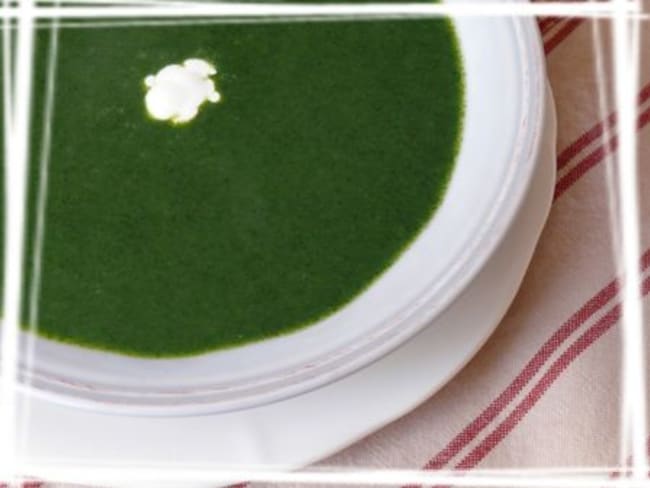 Soupe d'ortie (plante sauvage)