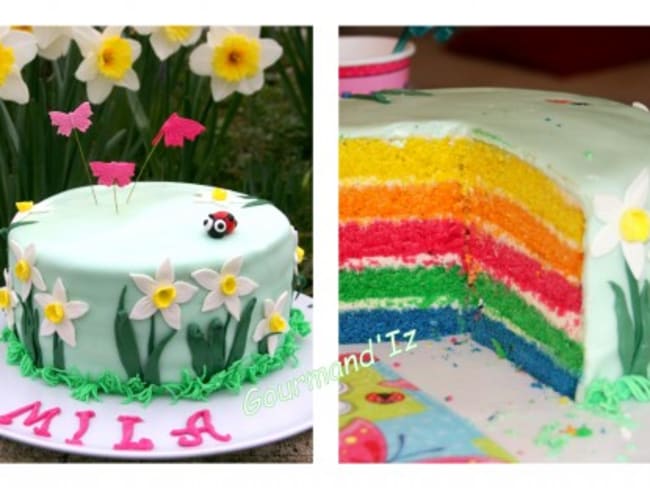 Spring rainbow cake ou gâteau arc-en-ciel, le printemps à croquer