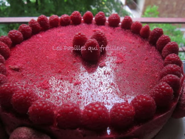 Entremet rhubarbe - framboises