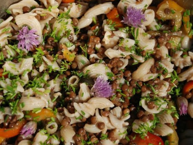 Salade de lentilles aux pâtes, fleurs de ciboulette, poivrons et persil