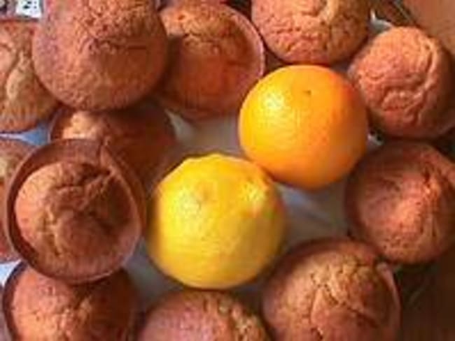 Muffins aux agrumes et graines de pavot - Recette de muffins sucrés