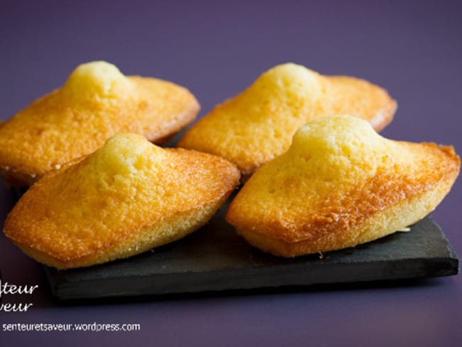 Madeleines à la vanille