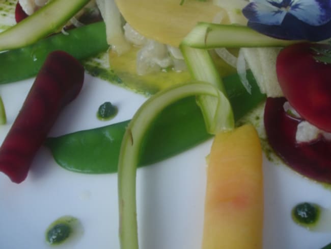 Ravioles terre et mer en tartare de maigre, huile de cacahuètes et pesto à la coriandre