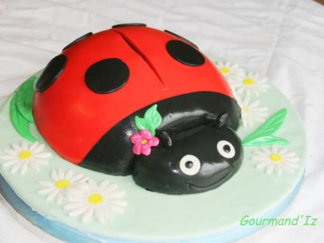 Tuto cake design : un gâteau Coccinelle 3D chocolat et caramel beurre salé.