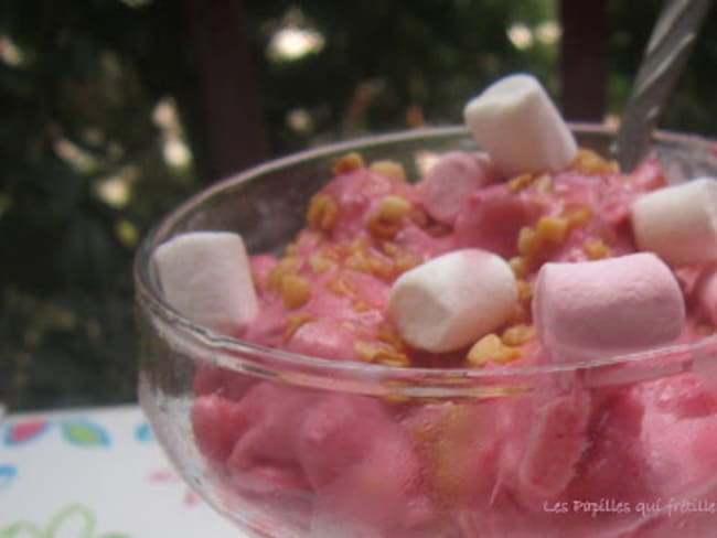 FROZEN YOGOURT ANANAS-FRAMBOISE