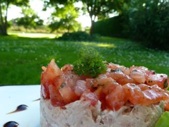 Tartare de Tomates aux Rillettes de Thon