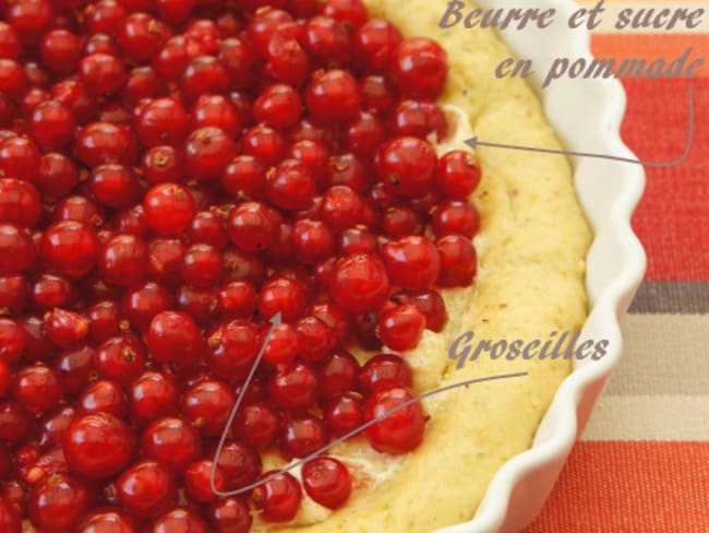 Tarte briochée à la groseille