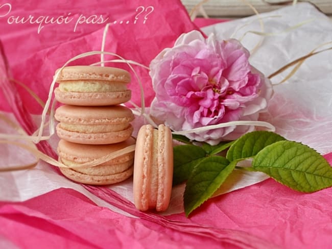 Macaron à la rose, amande et thé