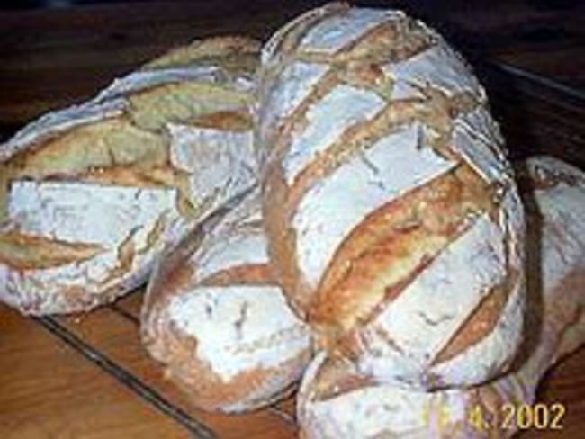 Pain au levain - Recette du pain au levain (confection du levain)