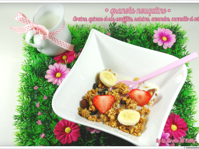 Granola goût Nougatine