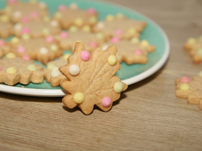 Biscuits de Noël au miel et à la cannelle