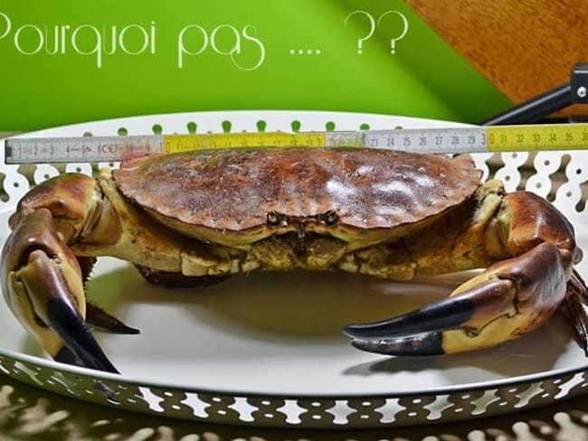 Tourteau crabe cuisson et fond