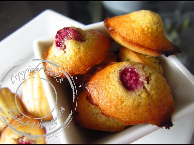 Madeleines à la framboise et à la vanille der Sophie Dudemaine