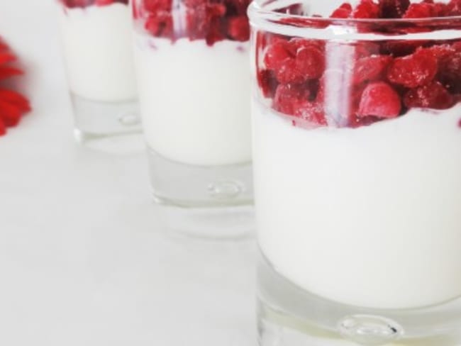 Panna cotta italienne