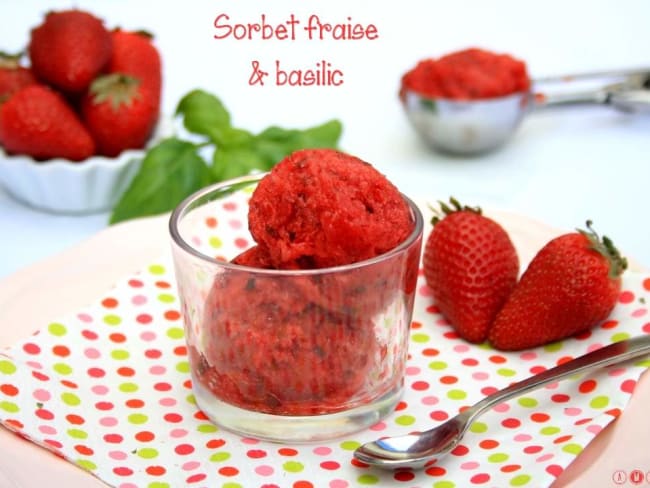 Sorbet fraise et basilic