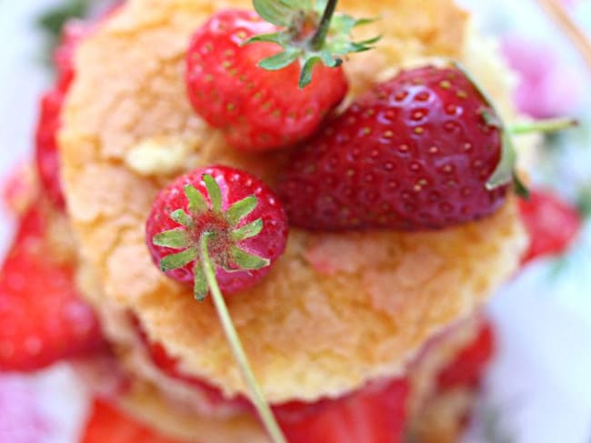 Layer cake aux fraises - biscuit suédois à la vanille