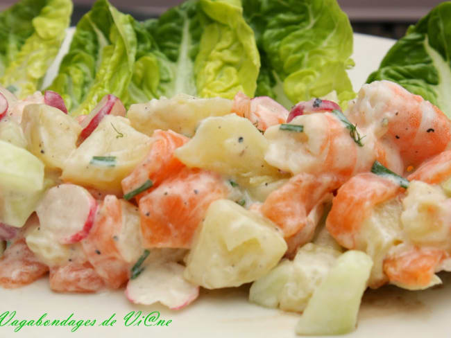 Salade fraîcheur