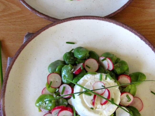 Salade de fèves, radis roses et fromage en faisselle