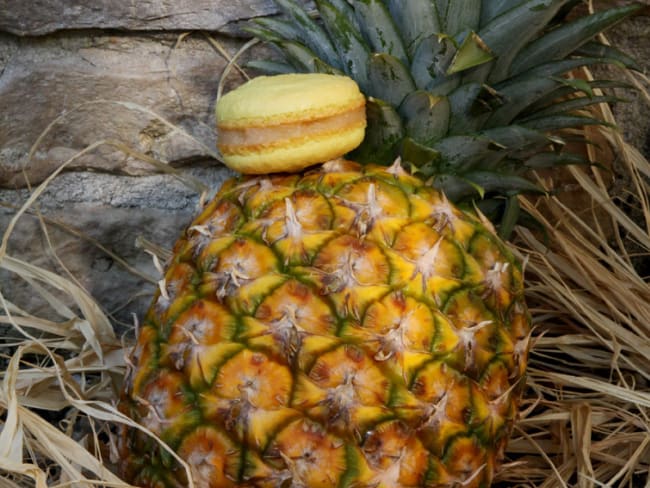 Cupcakes ananas meringués