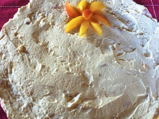 Gâteau glacé au yaourt et aux abricots sans cuisson