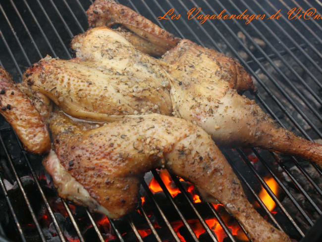 Poulet en crapaudine mariné cuit au barbecue