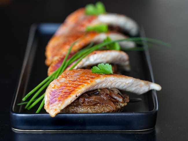 Filets de rougets à l'unilatérale sur canapés, huiles de CBD basilic ou herbes de Provence