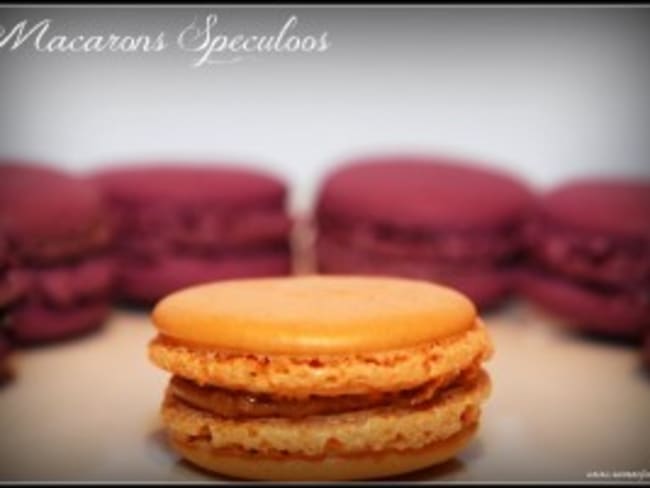 Macarons Speculoos