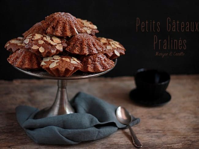 Petits gâteaux parfumés au chocolat praliné