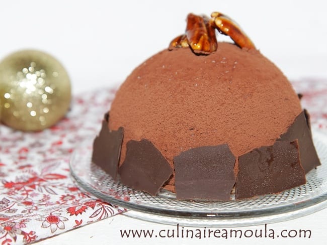 Bombe glacée au chocolat